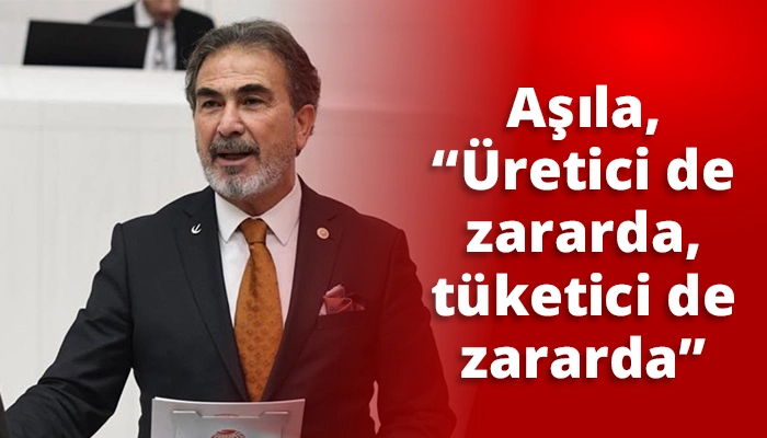 Mehmet Aşıla, &ldquo;&Uuml;retici de zararda, t&uuml;ketici de zararda&rdquo;