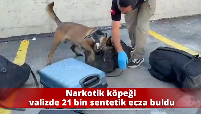 Narkotik k&ouml;peği valizde 21 bin sentetik ecza buldu