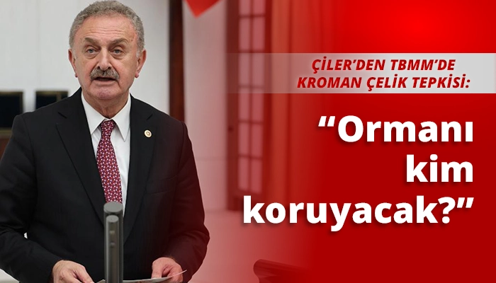 &ldquo;Ormanı kim koruyacak?&rdquo;