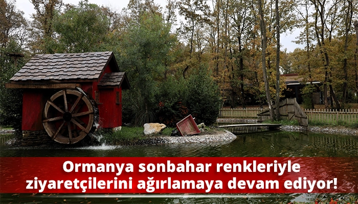 Ormanya sonbahar renkleriyle ziyaretçilerini ağırlamaya devam ediyor!