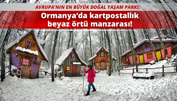 Ormanya&rsquo;da kartpostallık beyaz &ouml;rt&uuml; manzarası!