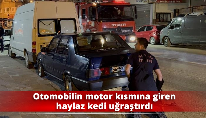Otomobilin motor kısmına giren haylaz kedi uğraştırdı