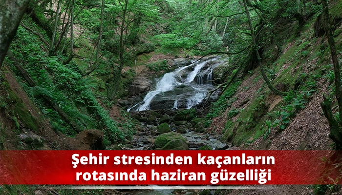 Şehir stresinden ka&ccedil;anların rotasında haziran g&uuml;zelliği