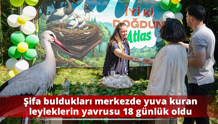 Şifa buldukları merkezde yuva kuran leyleklerin yavrusu 18 g&uuml;nl&uuml;k oldu