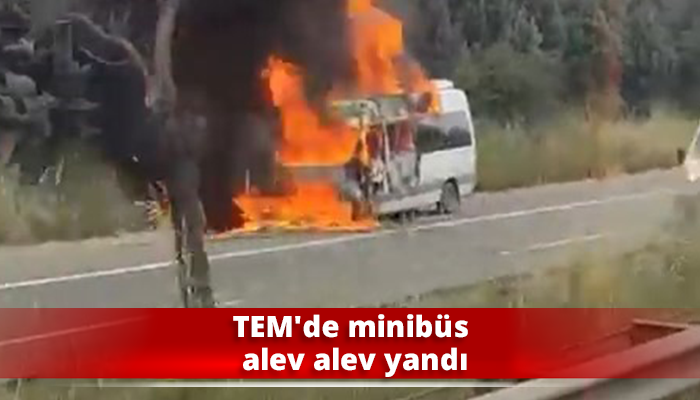 TEM’de minibüs alev alev yandı