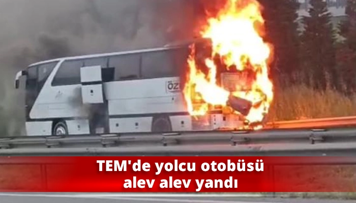 TEM&rsquo;de yolcu otob&uuml;s&uuml; alev alev yandı