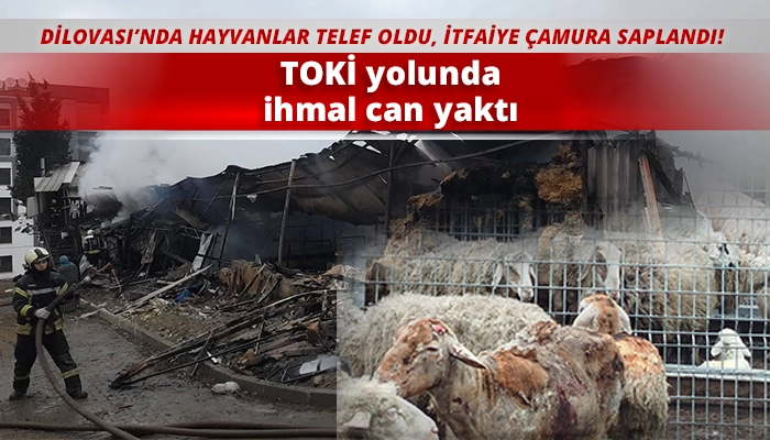 TOKİ yolunda ihmal can yaktı