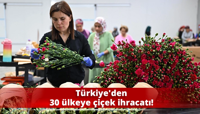 Türkiye'den 30 ülkeye çiçek ihracatı!