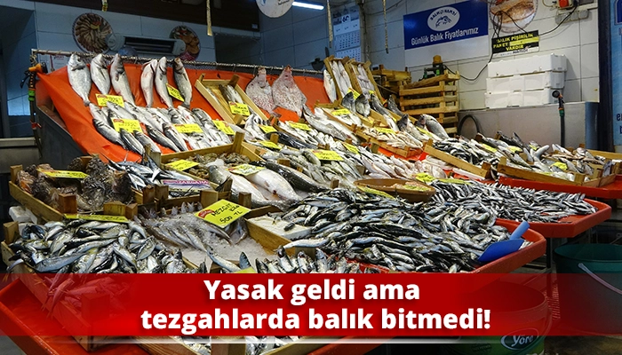 Yasak geldi ama tezgahlarda balık bitmedi!