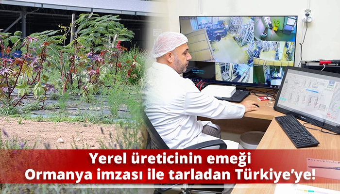Yerel &uuml;reticinin emeği Ormanya imzası ile tarladan T&uuml;rkiye&rsquo;ye!