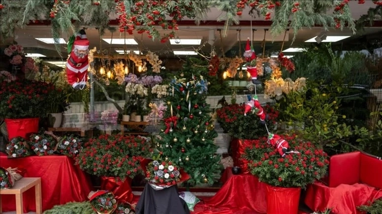 Yılbaşının simgesi &lsquo;Kokina &Ccedil;i&ccedil;eği&rsquo;ne yoğun ilgi!