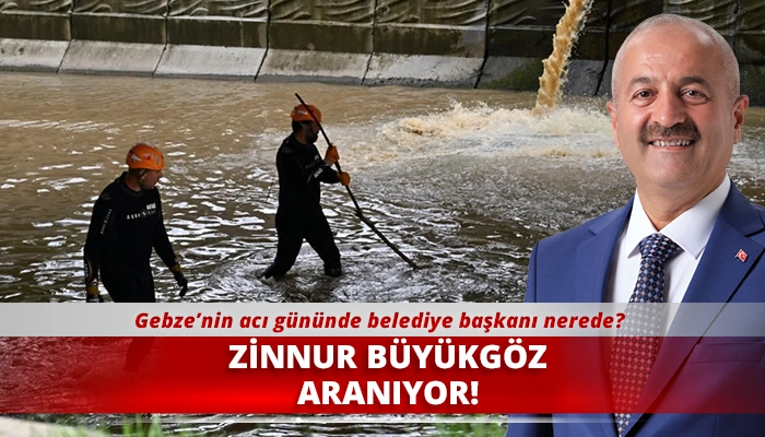 ZİNNUR B&Uuml;Y&Uuml;KG&Ouml;Z ARANIYOR!